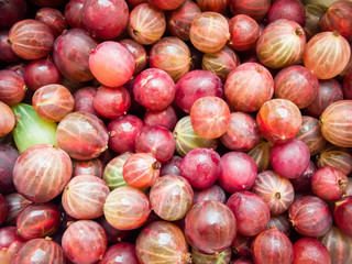 Red tasty gooseberry. Delicious summer berries