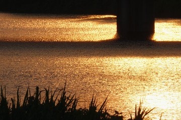 夕日を映す川面-2_733