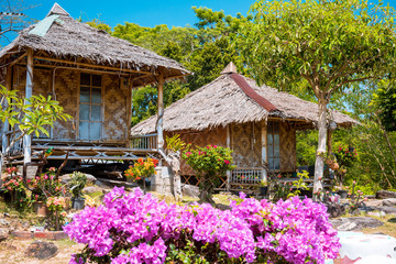 straw house in Thailand park Phi phi island