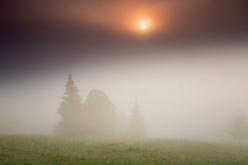 Naklejka na ściany i meble Beautiful mountain foggy sunrise at the forest edge