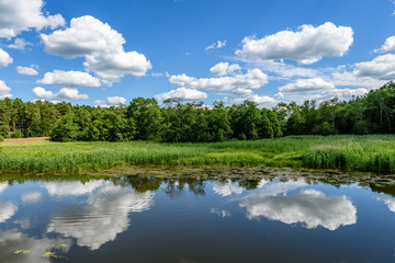 Fototapeta premium reflection of clouds in the lake