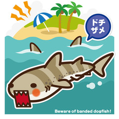 サメのいる海 ドチザメ