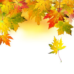 Goldener Herbst: Fallende, bunte Blätter :)