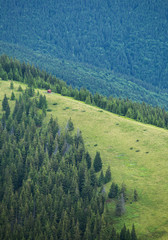 Mountain pass in carpathian mountains
