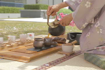 Japanese tea under sakura tree