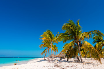 Fototapeta na wymiar Sandy beach Playa Sirena of the island of Cayo Largo, Cuba. Copy space for text.