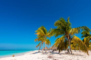 Photo sur Plexiglas Plage et mer Sandy beach Playa Sirena of the island of Cayo Largo, Cuba. Copy space for text.