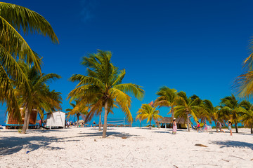 White sand and palm trees on the beach Playa Sirena, Cayo Largo, Cuba. Copy space for text.