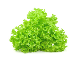 green oak lettuce on white background
