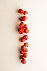 chili pepper on white wall