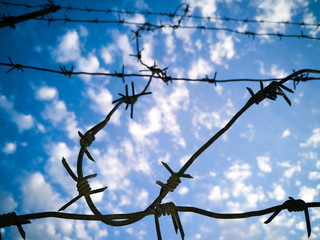 Barbed wire against the sky with clouds