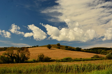 Obraz premium artistico