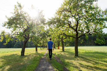 Obraz premium Spaziergang