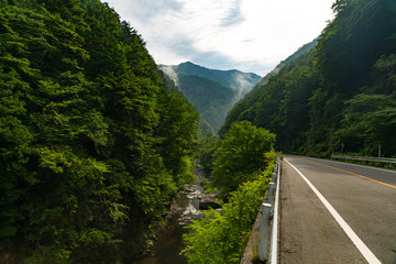 山間部