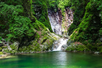 Fototapeta premium 滝