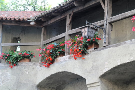 Alte Mauer, sch&ouml;ne Blumen
