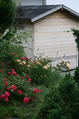 Fototapeta na wymiar Gartenhaus it Blumen