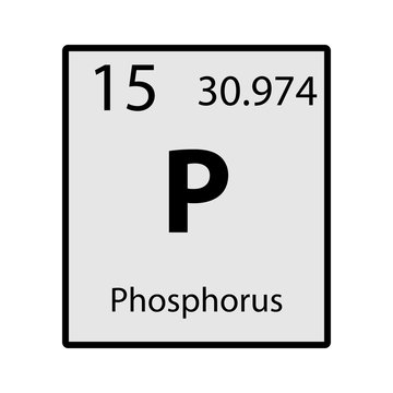 Phosphorus periodic table element gray icon on white background vector