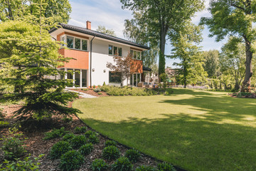Sunny outdoor and green lawn