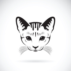 Vector of a cat face on white background, Pet. Animals.