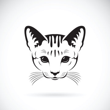 Vector of a cat face on white background, Pet. Animals.