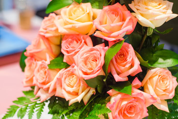 colorful flower bouquet from vintage group of rose background