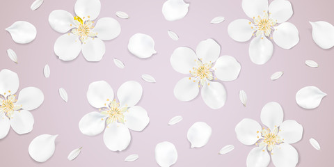 Pastel background with white flowers.