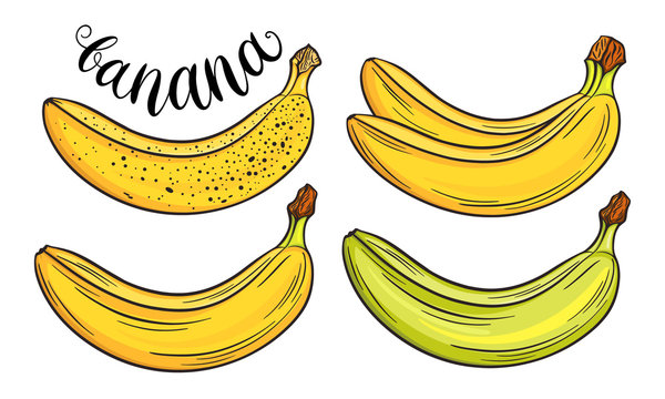 Hand drawn bananas set, isolated on white background. Decorative doodle vector illustration