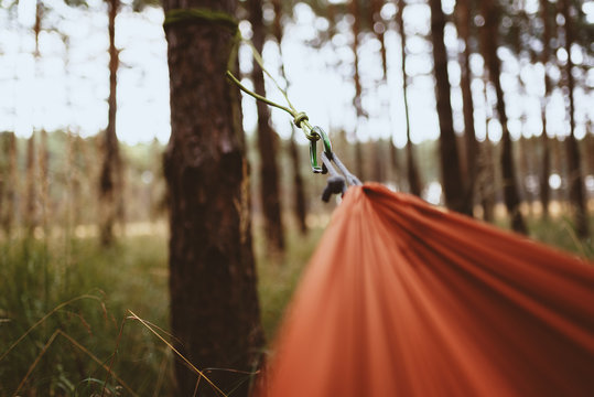 H&auml;ngematte im Kiefernwald in Norddeutschland bei Sonnenaufgang