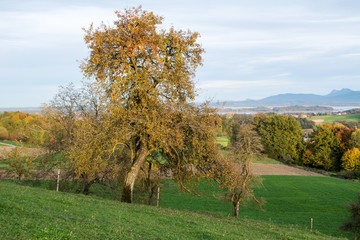 Blick auf den Chiemsee