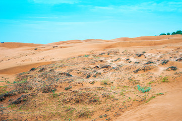 The whole scene of sand dunes in Mui Ne, Phan Thiet, Vietnam.