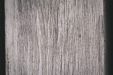 Obraz premium Dark grey wood background detail