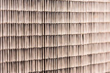 Beautiful texture. Marine concept. Close-up.