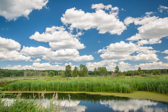 Floodplain