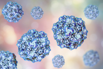 Feline panleukopenia virus, also called as feline infectious enteritis virus or cat plague. 3D illustration