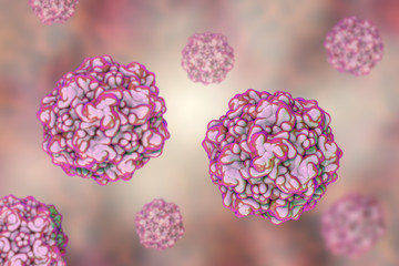 Feline panleukopenia virus, also called as feline infectious enteritis virus or cat plague. 3D illustration