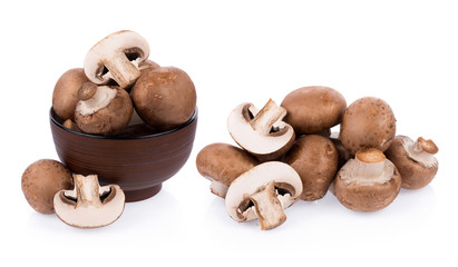 Mushroom champignon isolated on white background