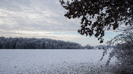Winterlandschaft