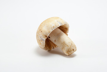 White mushrooms