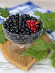 Berries of black currant in a glass plate. 