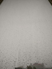 Rain drop on a window