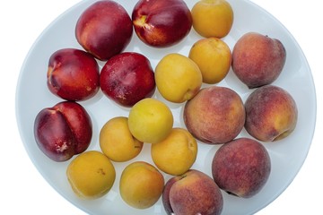 Peach, nectarine and apricot on white plate
