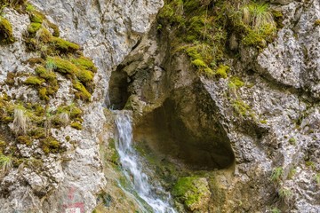 Mountain stream with stones in forest - Cheile Bicazului, Transylvania, Romania