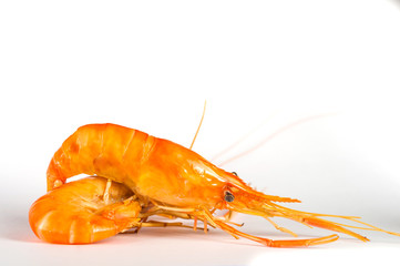 Two grilled shrimps