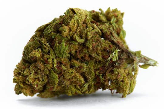 Close up of Bubba Kush medical marijuana strain on white