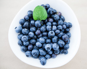  freshly blueberry fruit antioxidant food