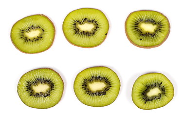 Kiwi fruit slices set, collection isolated on white background