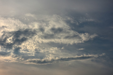 Fototapeta na wymiar 空と雲「空想・雲のモンスター（巨大なクジラなどのイメージ）」存在感、大きな、雄大な、構える、重量感などのイメージ