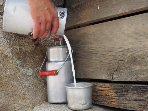 lecheria, lecheras y leche