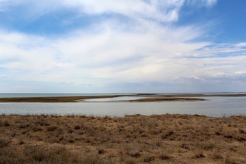 Landscape steppe lake